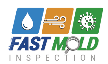 Fast Mold Inspection